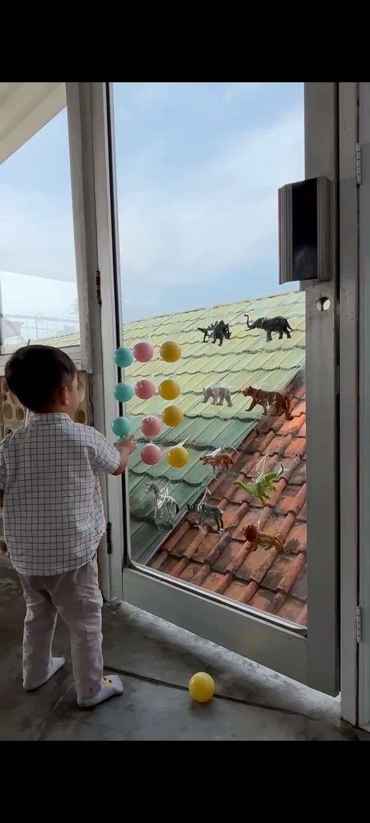 Program Daycare
